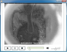シジュウカラ巣箱カメラ：雛の成長
