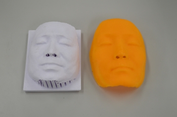 3Dプリンタで出力した人の顔