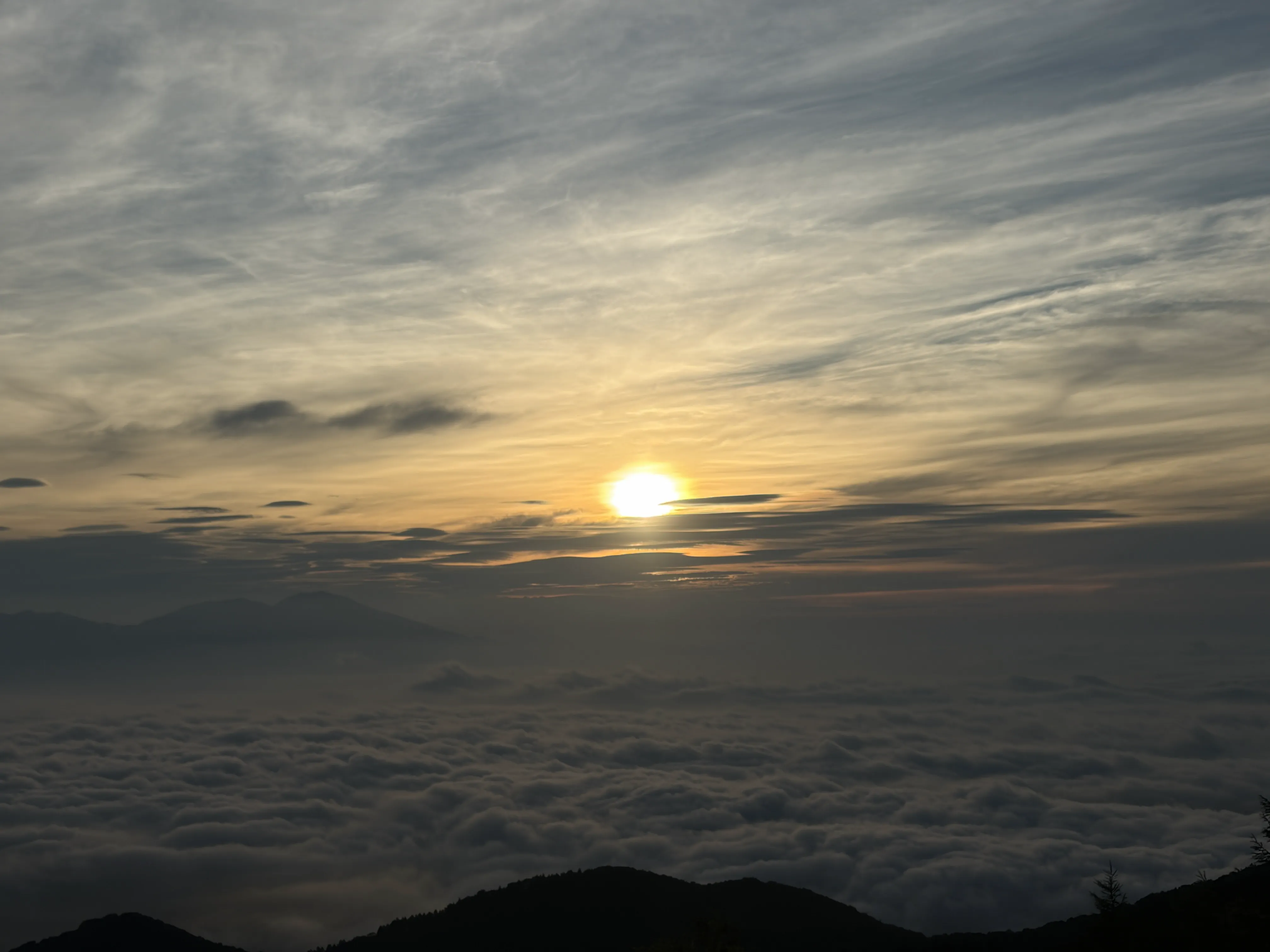 /upload/activity_report/image/pic_0801_3.png