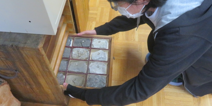 「地学標本」現物を生徒たちが取り出す