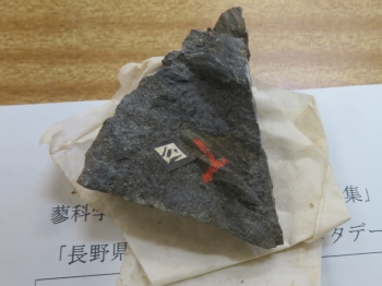 鉱物標本の一つ