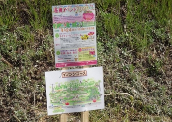 花桃イベントのコース